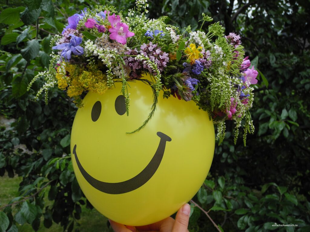 Monatsrückblick Juni 2026: Midsommar in Schweden, Lund und Tierbesuch im Garten