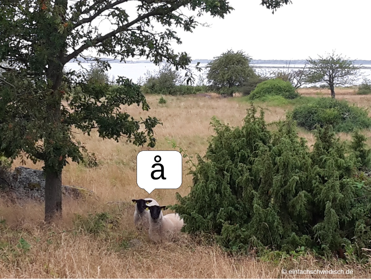 Småland ist Frohland – 
Wie das schwedische „a mit Kringel“ wirklich ausgesprochen wird