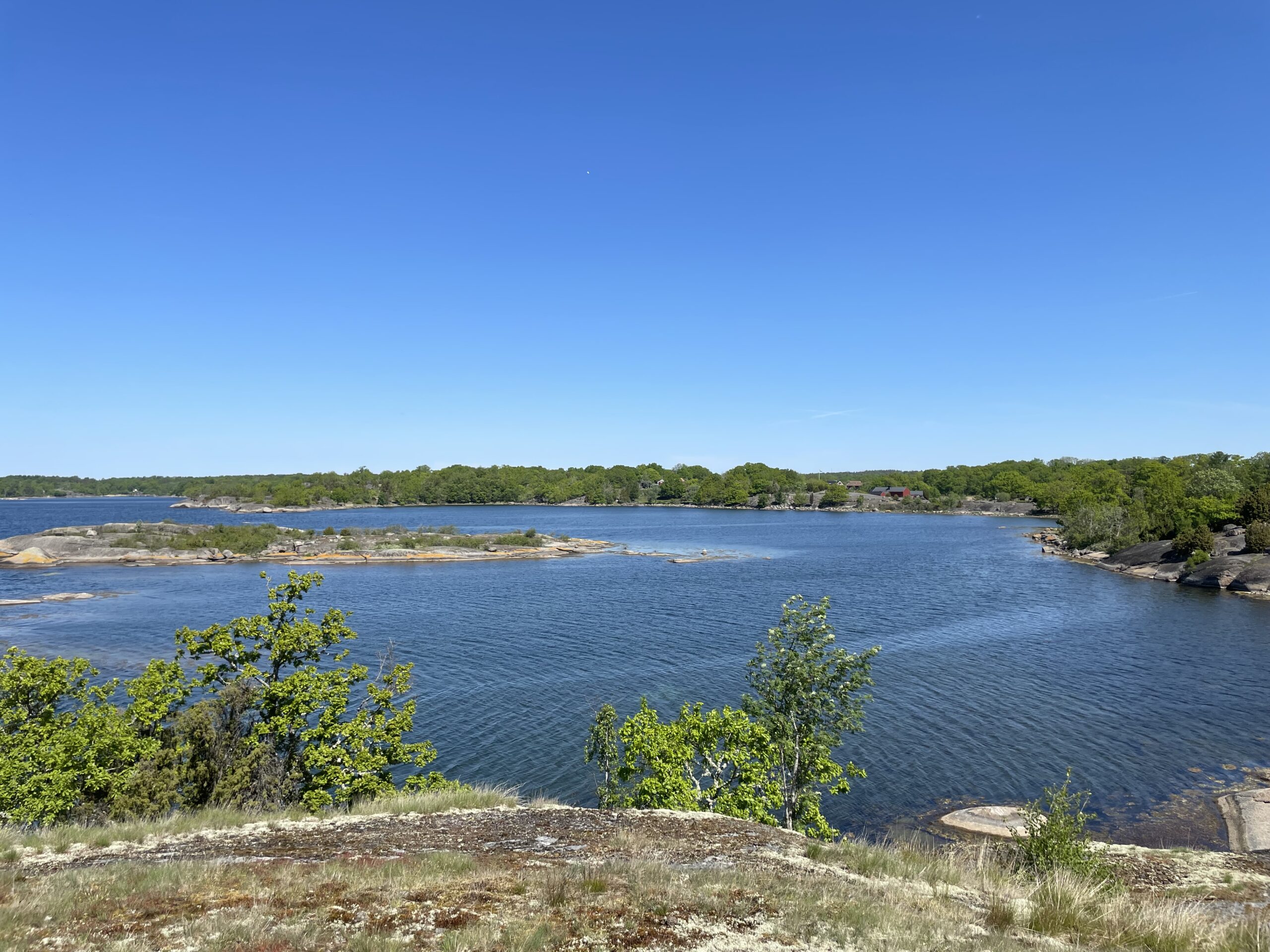 Ein wunderbares Fleckchen Erde: die schwedische Schäreninsel Tjärö vor der Südküste.